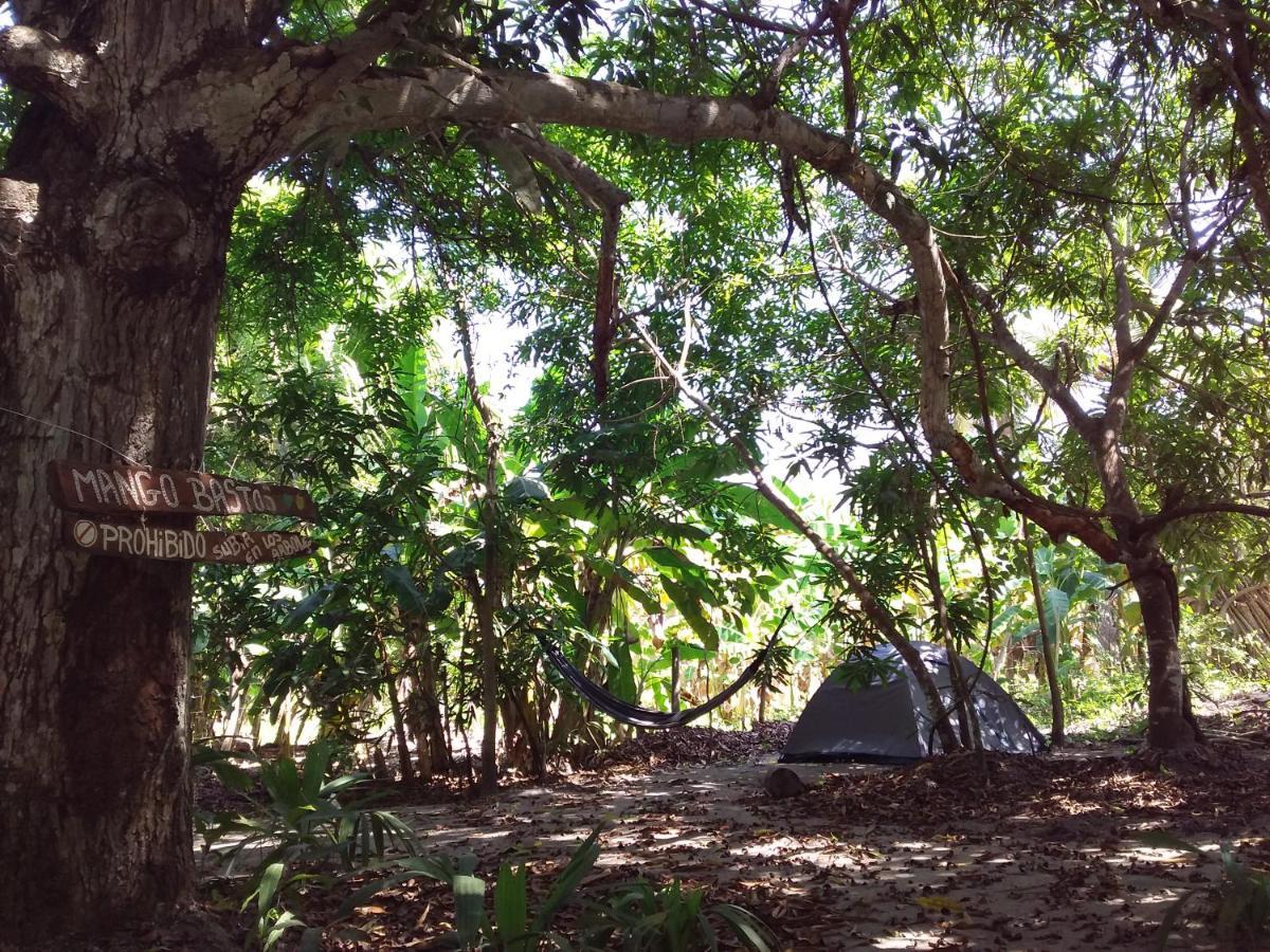 Eco-Camping Mango Feliz Rincon Del Mar San Onofre Exteriér fotografie