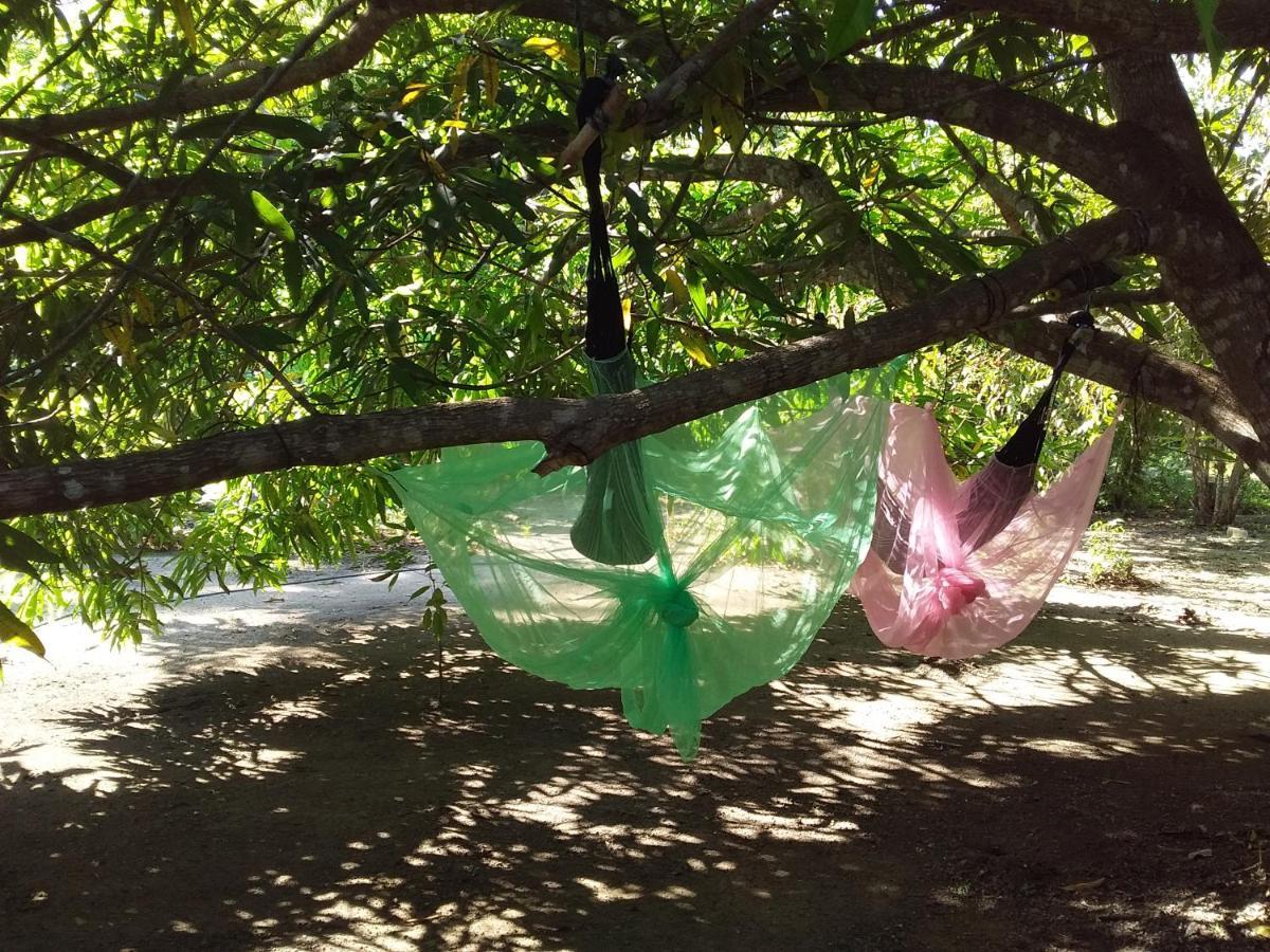 Eco-Camping Mango Feliz Rincon Del Mar San Onofre Exteriér fotografie