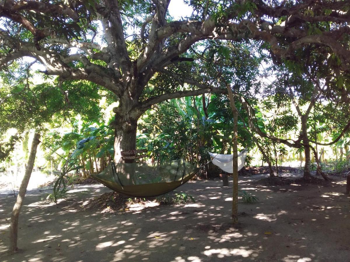 Eco-Camping Mango Feliz Rincon Del Mar San Onofre Exteriér fotografie