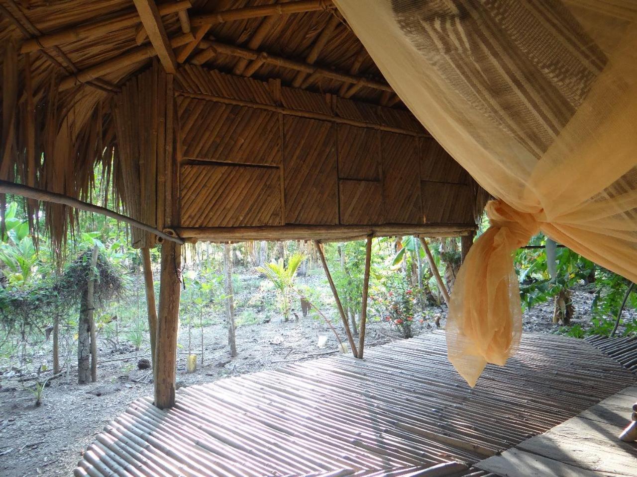 Eco-Camping Mango Feliz Rincon Del Mar San Onofre Exteriér fotografie