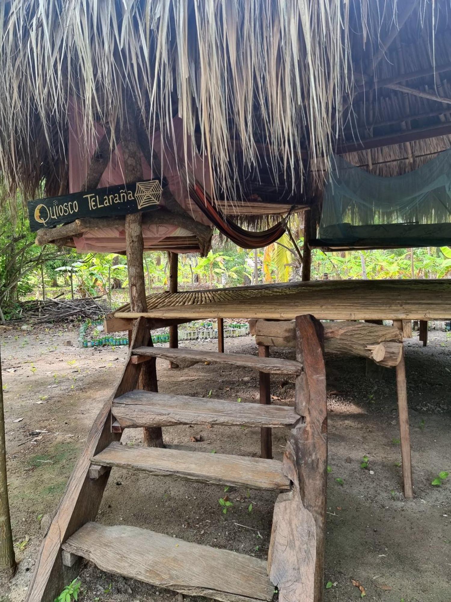 Eco-Camping Mango Feliz Rincon Del Mar San Onofre Exteriér fotografie