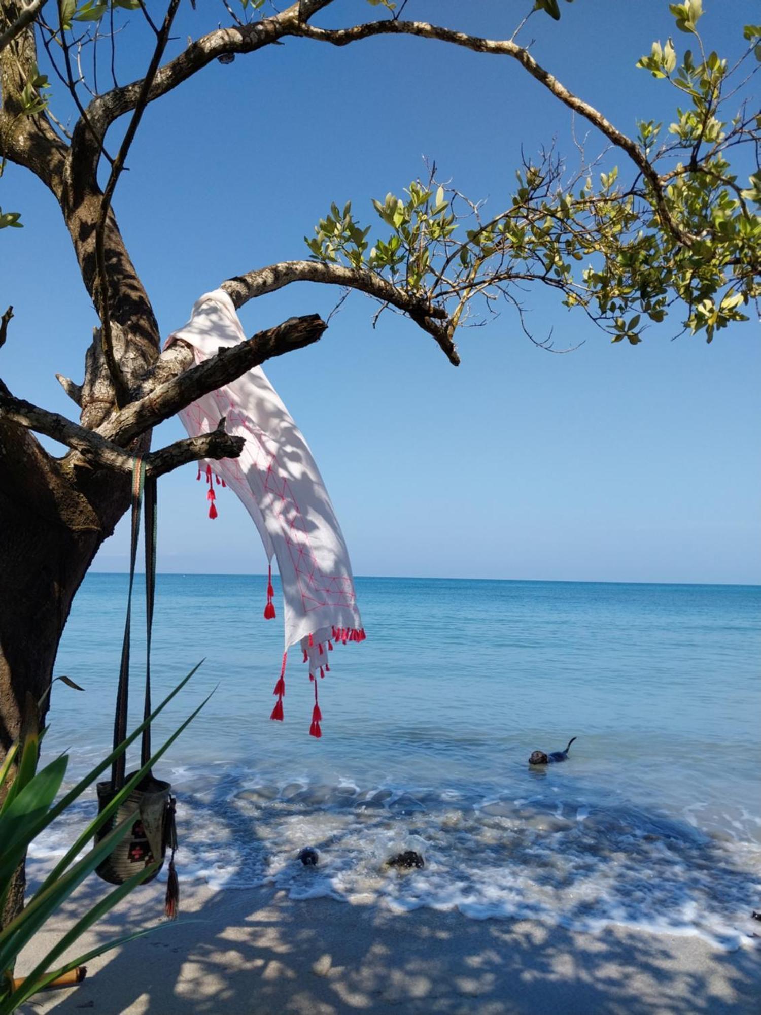 Eco-Camping Mango Feliz Rincon Del Mar San Onofre Exteriér fotografie