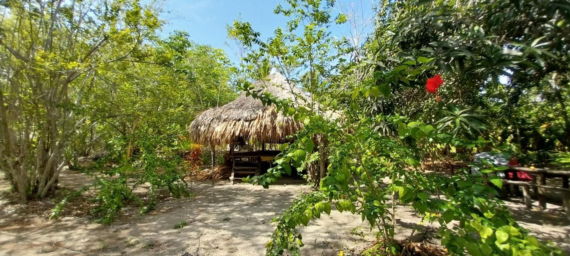 Eco-Camping Mango Feliz Rincon Del Mar San Onofre Exteriér fotografie