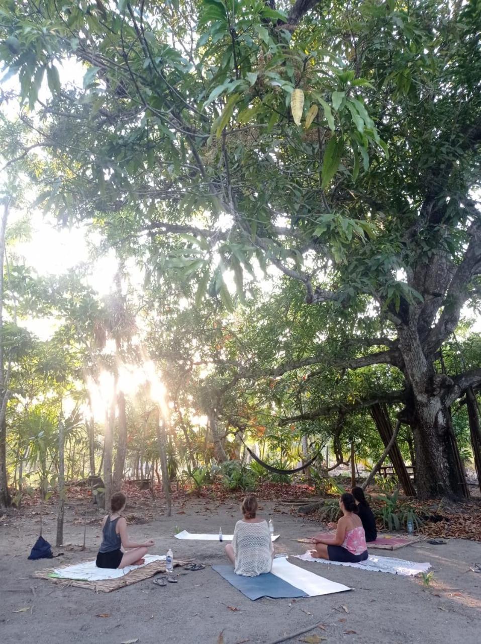 Eco-Camping Mango Feliz Rincon Del Mar San Onofre Exteriér fotografie