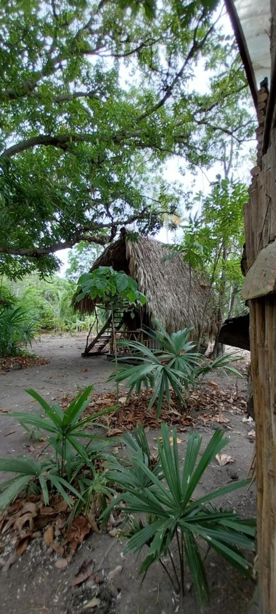 Eco-Camping Mango Feliz Rincon Del Mar San Onofre Exteriér fotografie