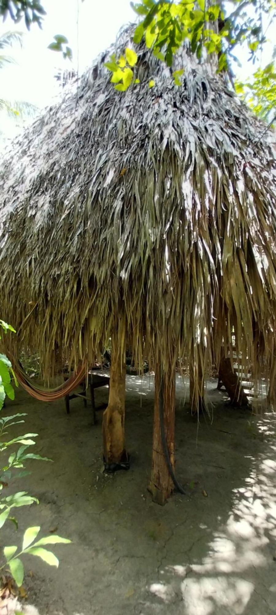 Eco-Camping Mango Feliz Rincon Del Mar San Onofre Exteriér fotografie